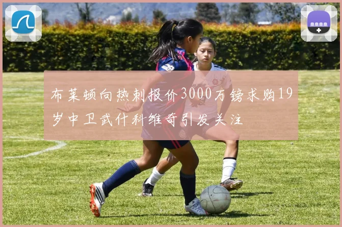 布莱顿向热刺报价3000万镑求购19岁中卫武什科维奇引发关注
